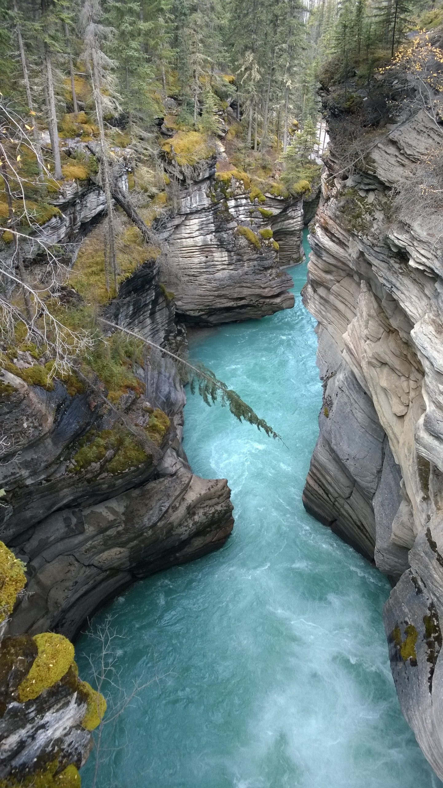 Canadá - Athabasca Falls