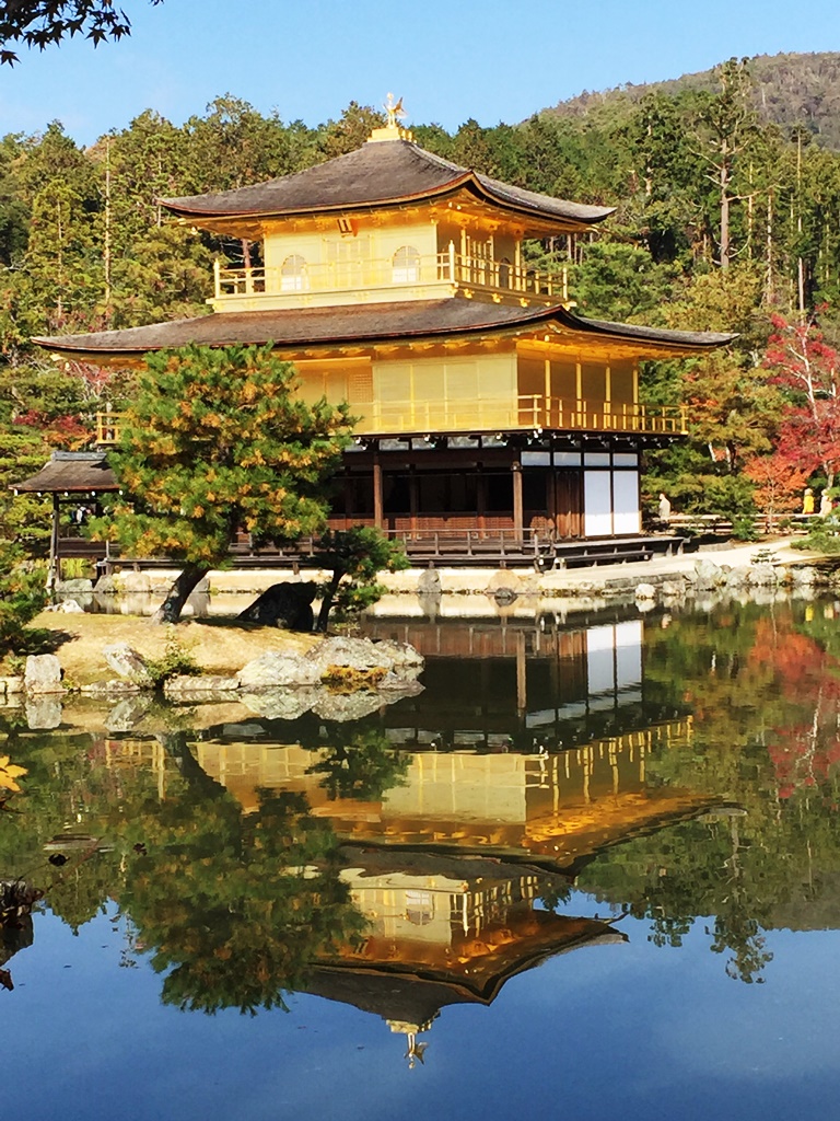Templo Dourado, Kyoto 768x1024